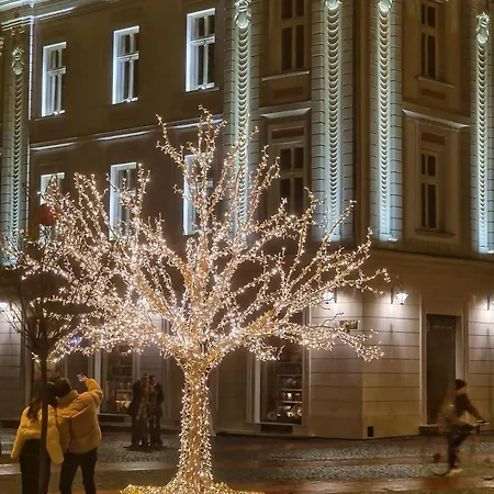 Monique's 3 * Timisoara