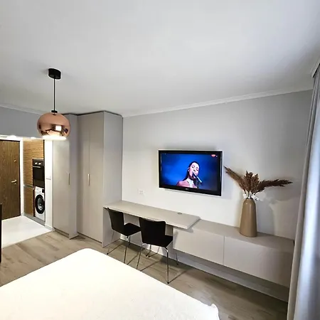 Monique's 3 Apartment Timisoara